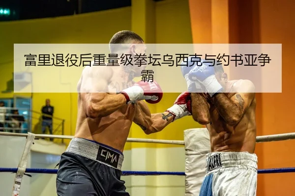 富里退役后重量级拳坛乌西克与约书亚争霸