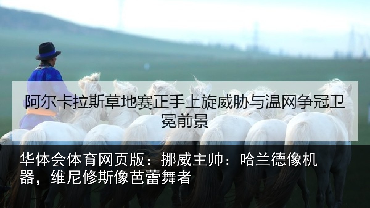 华体会体育网页版：挪威主帅：哈兰德像机器，维尼修斯像芭蕾舞者