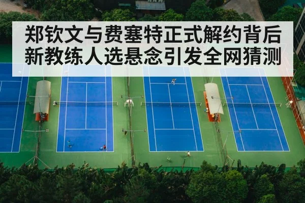 tennis court match